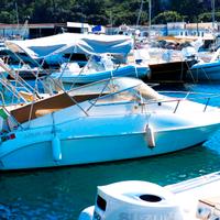 Barca a motore semicabinato Angelo Molinari