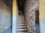 Immagine 7