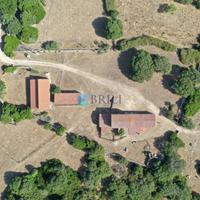 Azienda agricola con palazzetto gallurese
