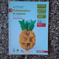 Libri aritmetica e geometria 1ED 