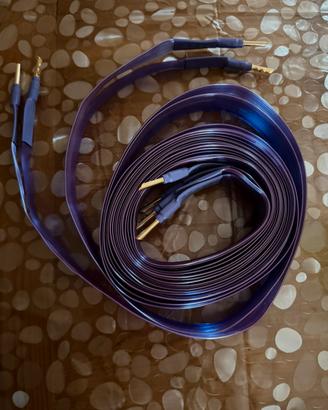 Coppia cavi di potenza Erumpent gold purple