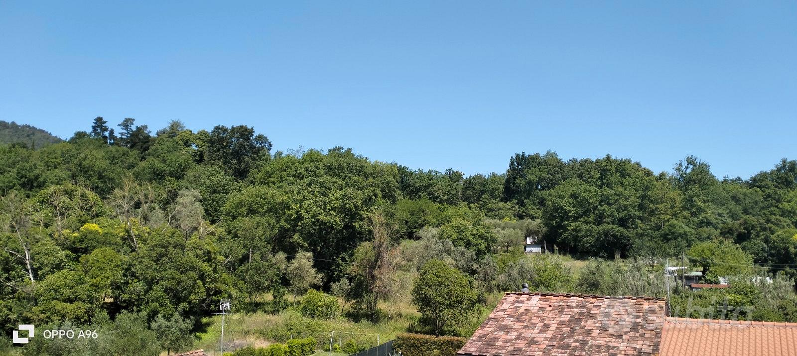 Apartment in Lucca, Sant'Anna - Vista 5