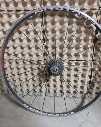 Ruote bici strada
