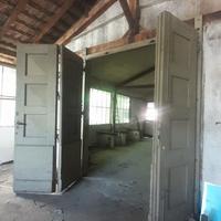 portone film divin codino 