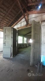 portone film divin codino 