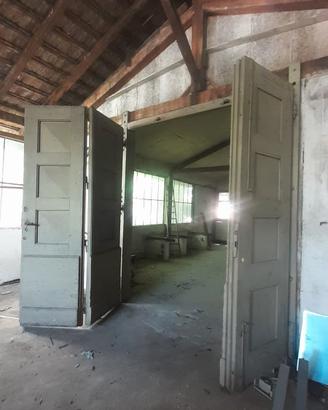 portone film divin codino 