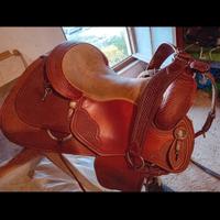 sella western bred rance