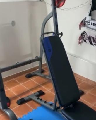 palestra completa