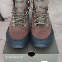 Scarponcini Timberland Ashwood Park