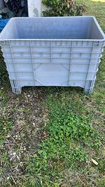 Cassone pallet in plastica