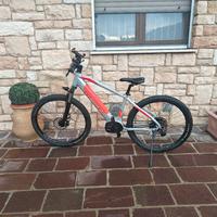 E-bike 