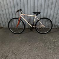 Bici Single Speed