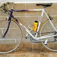 bicicletta vintage giant peloton lite 