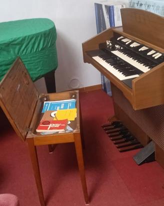 Organo hammond