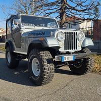 Jeep Renegade CJ5 1978