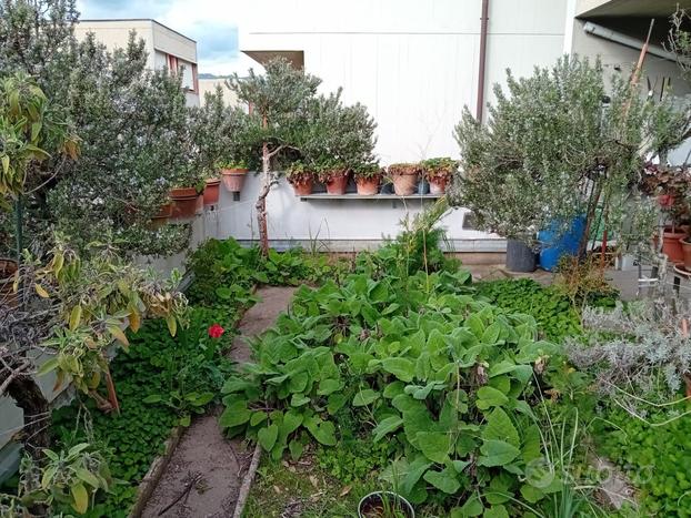 Vill Matteotti appartamento con giardino pensile