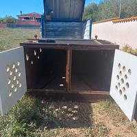 Cassetta trasporto cani