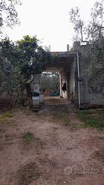 Terreno agricolo a Vieste