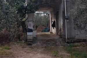 Terreno agricolo a Vieste