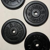 dischi ghisa  da  5 kg
