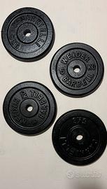 dischi ghisa  da  5 kg