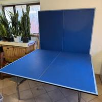 Tavolo da ping pong