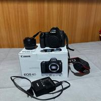 Canon 6d + 50mm f/1.8