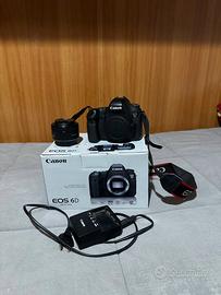 Canon 6d + 50mm f/1.8