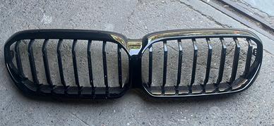 Mascherina griglia BMW serie 5 G30/G31/G38