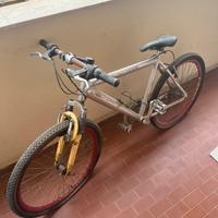 Bicicletta mountain bike