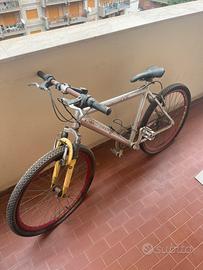 Bicicletta mountain bike