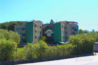 4 LOCALI A CENTOLA