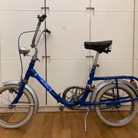 Graziella Carnielli 16”