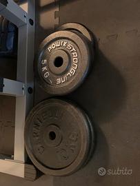 Dischi ghisa , Palestra