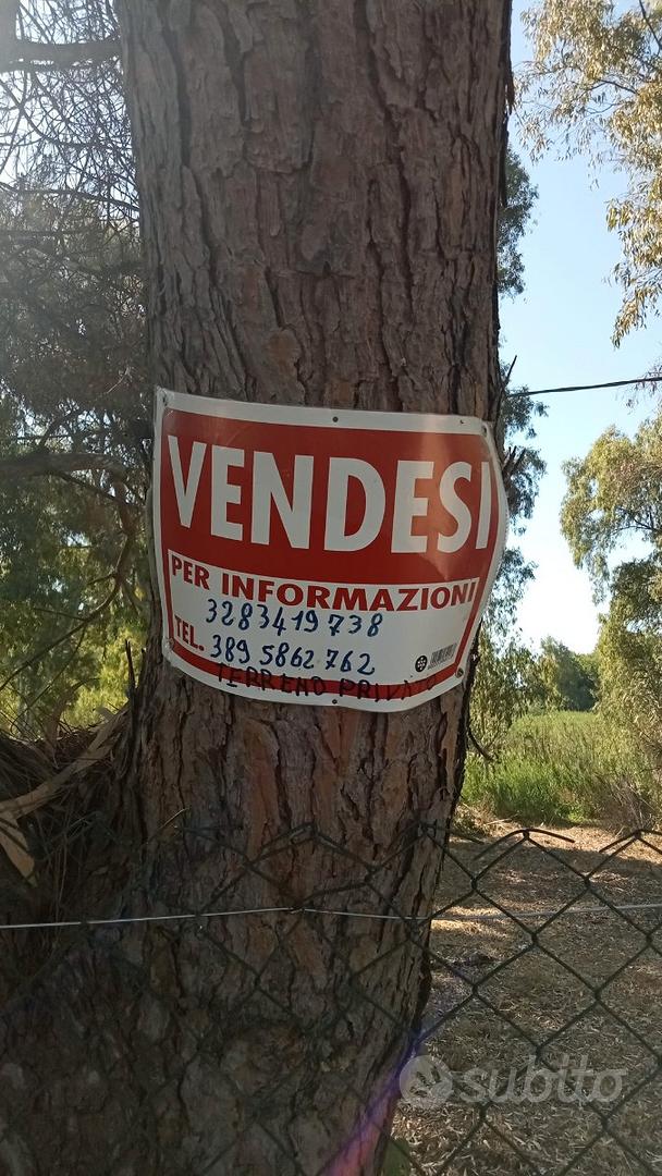 Si propone - Vista 2