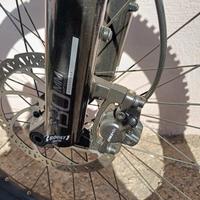 Bici pedalata assistita 