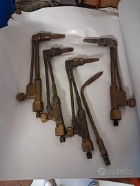 cannelli