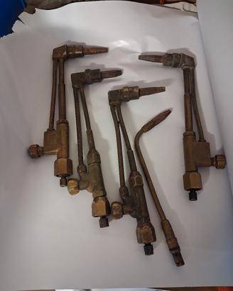 cannelli