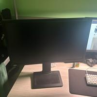 Monitor BenQ 24 pollici