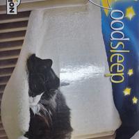 cuccia sospesa per gatti