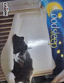 cuccia sospesa per gatti