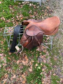 Sella da salto Rodrigo Pessoa Equitazione Cavallo