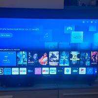 TV LG 55NANO806NA 4k 55 pollici