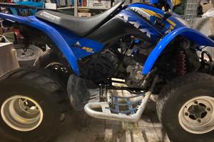 Quad kymco 250