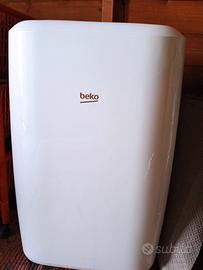 Pinguino aria condizioni