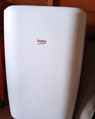 Pinguino aria condizioni