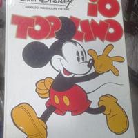 Io topolino
