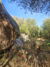 Terreno con casolare Telti