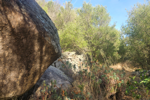 Terreno con casolare Telti