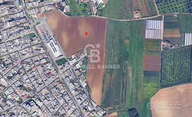 Terreno Edificabile - Mesagne